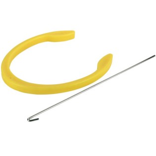 Inseminace